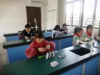 少年宫巧手搭纸牌，平地起高楼  ——2022年延寿小学科技节系列活动之三